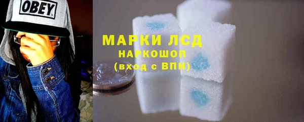 сатива Бронницы