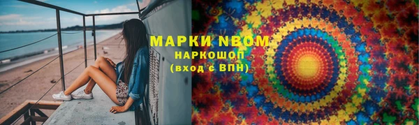 шишки Сясьстрой