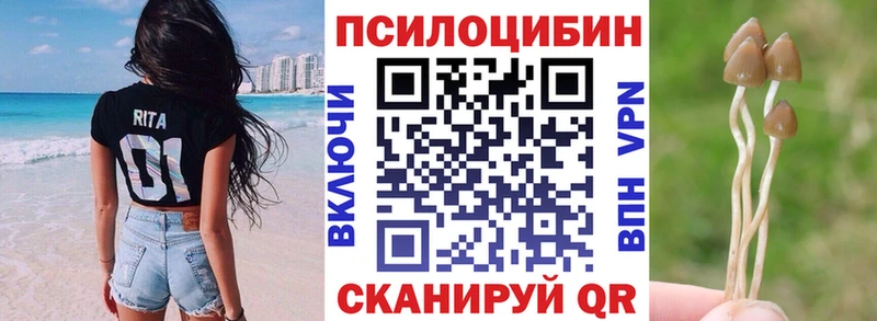 Галлюциногенные грибы Psilocybe  KRAKEN ONION  Ефремов  как найти закладки 